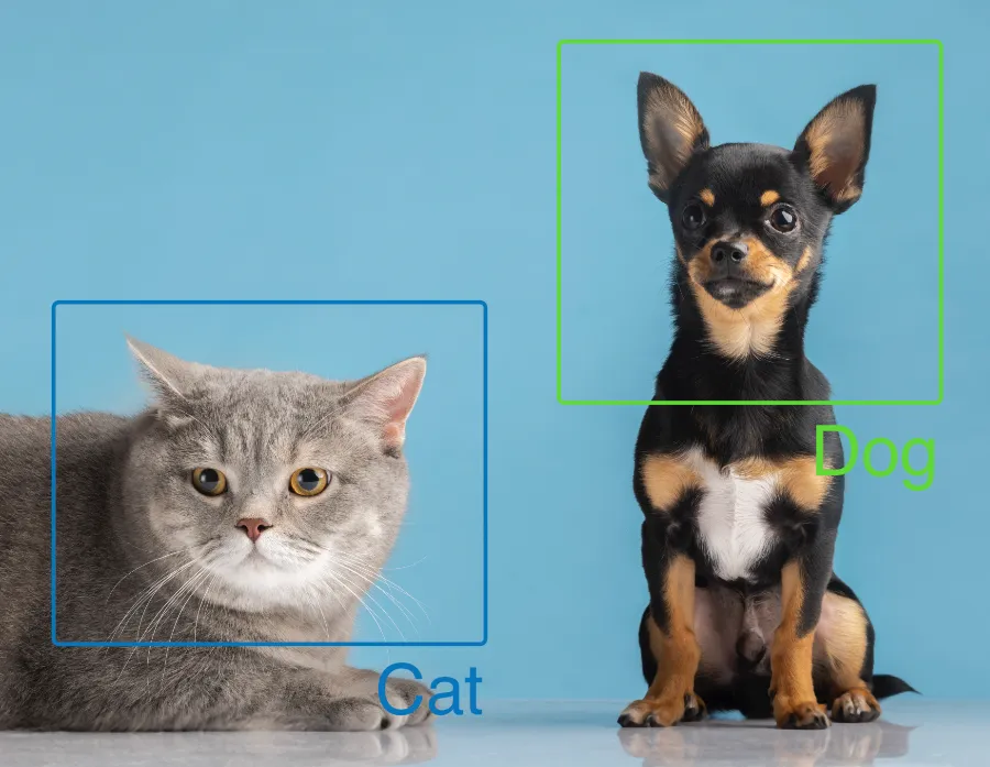 Machine Learning